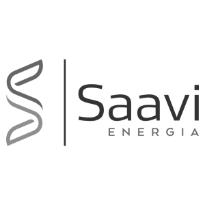 SAAVI Energía